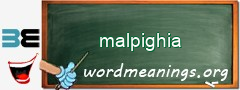 WordMeaning blackboard for malpighia
